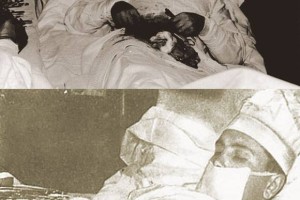 12509036_190223151331097_3983692730539493452_n