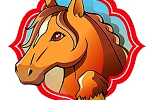 14319053425559243e62132