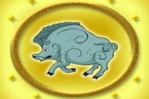 1447894474_4ba5c1b747531a0aoriginal