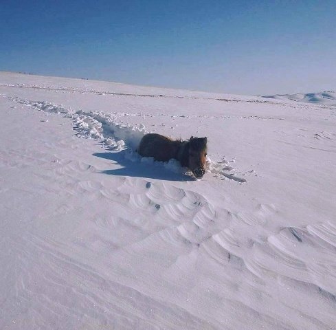 1451364261_3954e2e8b67a9424b72776289b6c7946