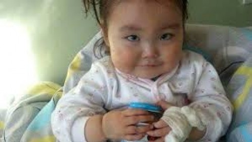 17319106d679a5d6b773a91527291fc1