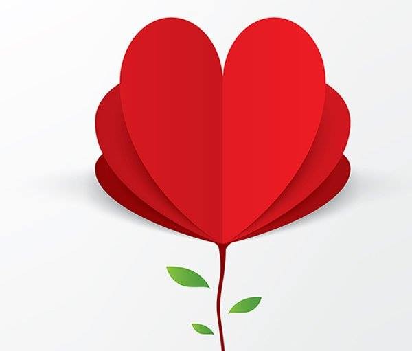 1910516_1036620829743566_7834733473618677716_n