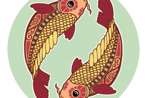 1b0fsa8qlm7o3p19lfqo407o3g_b