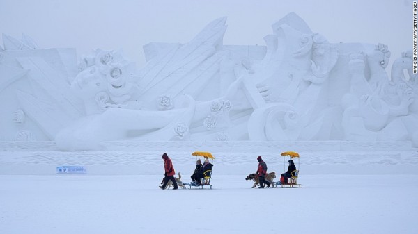 2154268568cf8105389d21