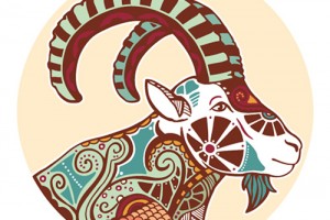 2denf02d1vu57021b244ipssin_b