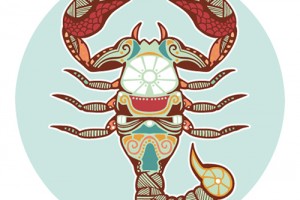 4ki01l7l9e925scajqn6hpi45f_b