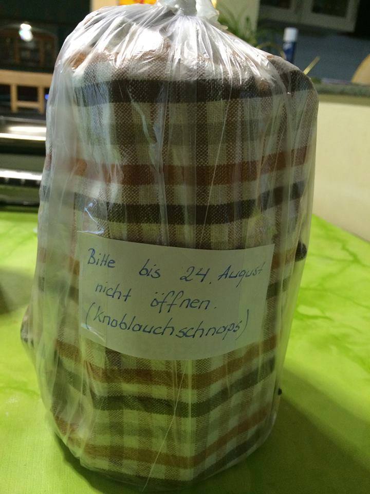 995643_1493674347577950_1342610768983936413_n