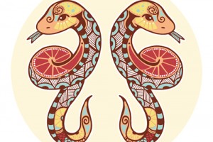 j72cda2rphl9lg4bp6nasfttd_b