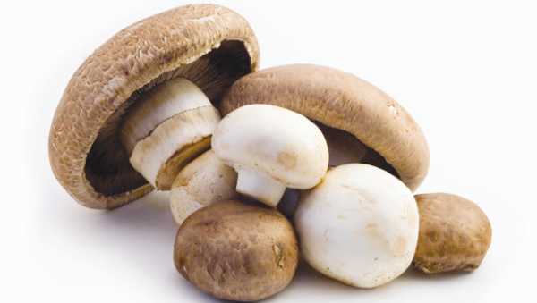 slider-medley