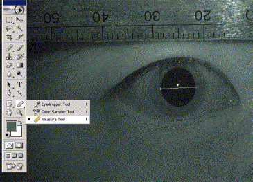 Microsoft Word - Figure 1.doc