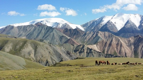 10408590_802853426498210_7493097153346345778_n