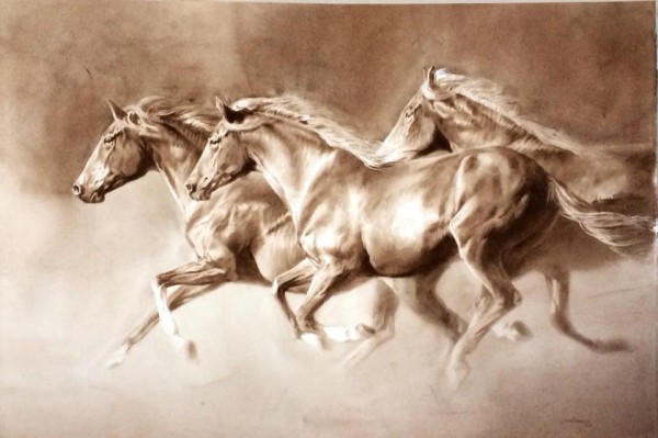 10500297_10152603645485972_1099504895825393735_n