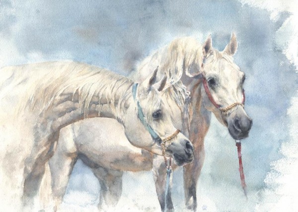 11180_10151841706275972_326318110_n