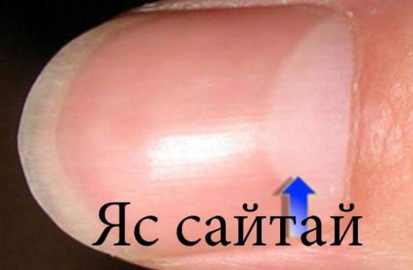 12540682_488684141340508_3596808986529323059_n