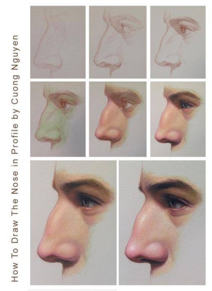 12662435_151505971896799_1257262499626731261_n