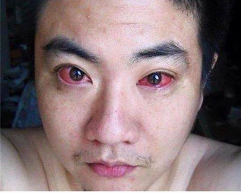 12742368_1681839658756676_2333547553847330218_n