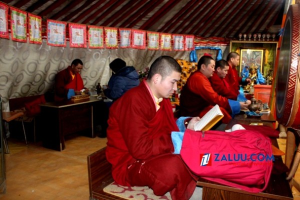 145584730756c6778b5dd94