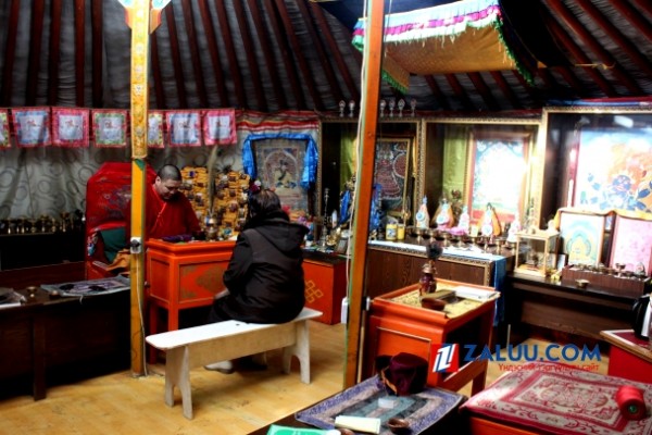 145584731956c6779739f71