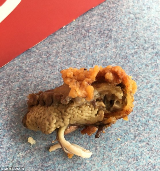 30DC45B900000578-3430867-image-a-2_1454550324484