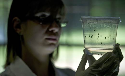 36176fa5ff336c1fa17cfc8fc3f72aba