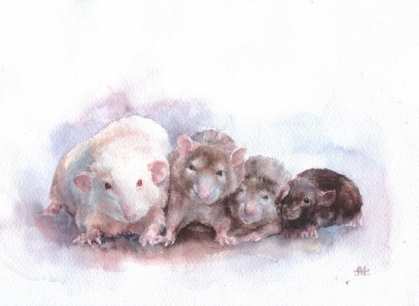 401337_10151338569830972_335626958_n