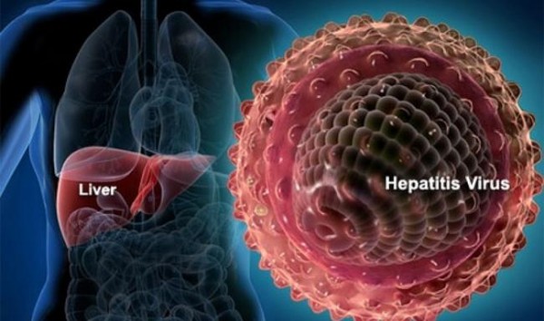 96c8a670591caea4great