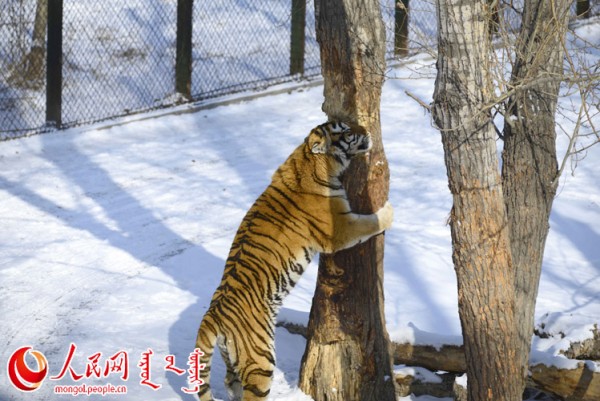 \"F2016022215163740567302579\"