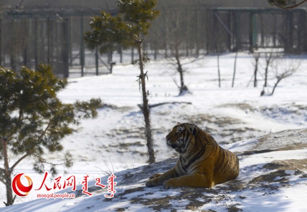 \"F2016022215165560067302580\"