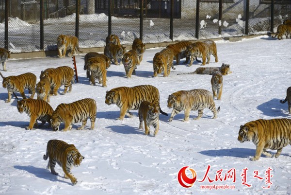 \"F2016022215173380667302584\"