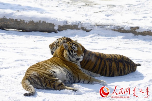 \"F2016022215180008667302586\"