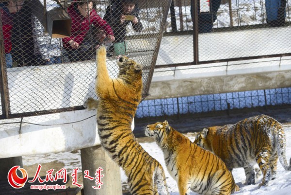 \"F2016022215184105567302591\"