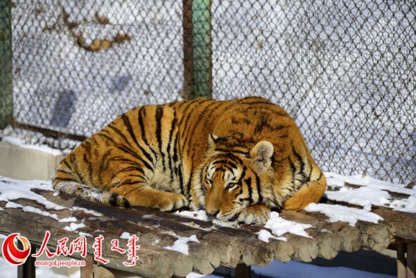 \"F2016022215185789867302593\"