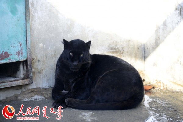 \"F2016022215190764267302594\"