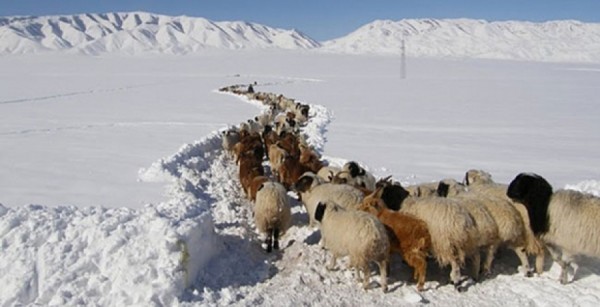 olloo_mn_1453340365_cd0824b192671918ac36454dd85b5de8original