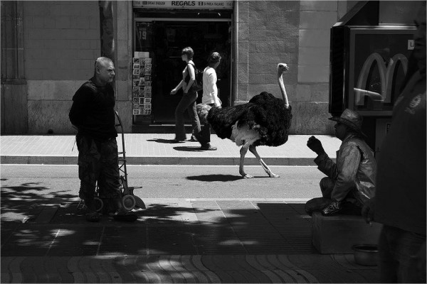 10341655_1095431233811258_2439792313062795937_n