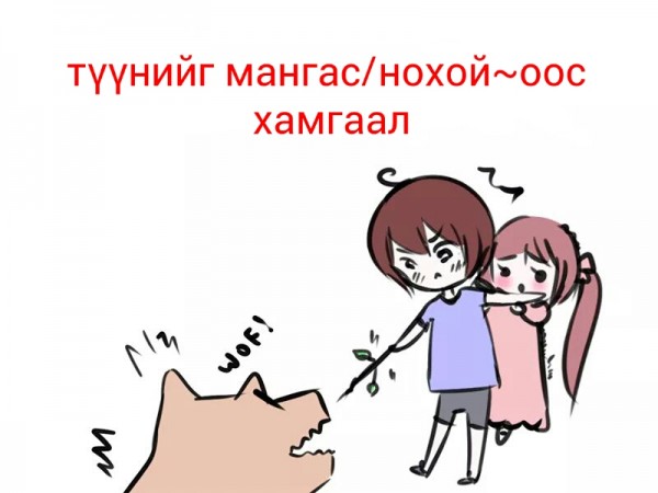 11998891_1036813723060493_1992269024417760252_n