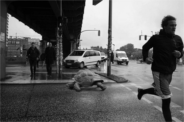 12026_1095431327144582_4801848546515404984_n