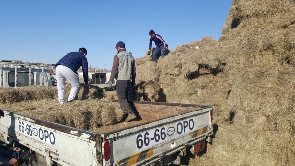 \"12476639_1247248635304640_1728813089_o\"