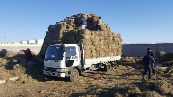 \"12722465_1247248621971308_700976972_o\"