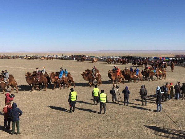 \"12782297_1149951491691146_533934204_n\"