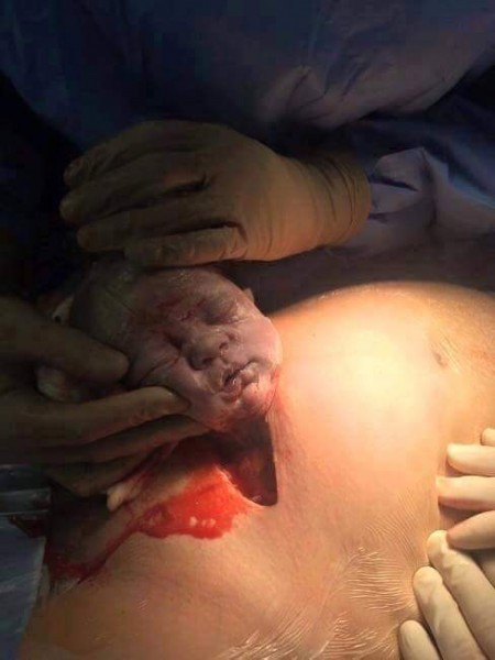 12800123_896961910425222_30582889915974483_n