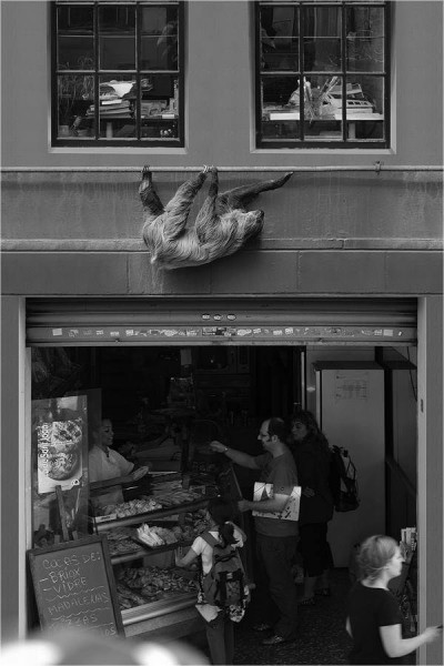 12800295_1095431123811269_4804211451510158997_n