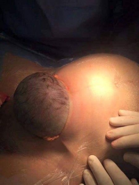 12805691_896961933758553_8636350719895054482_n