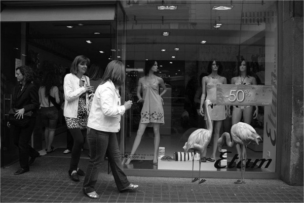 12809574_1095431127144602_3915279252931155080_n