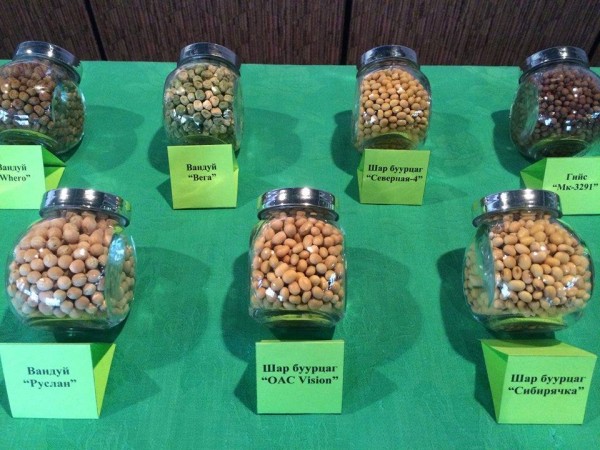 \"12899956_1170663736286588_648493381_n\"