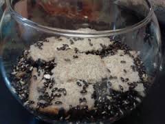 133829056e91c416531151