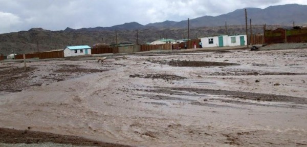 137125-24032014-1395651368-1317665897-shar-702x336