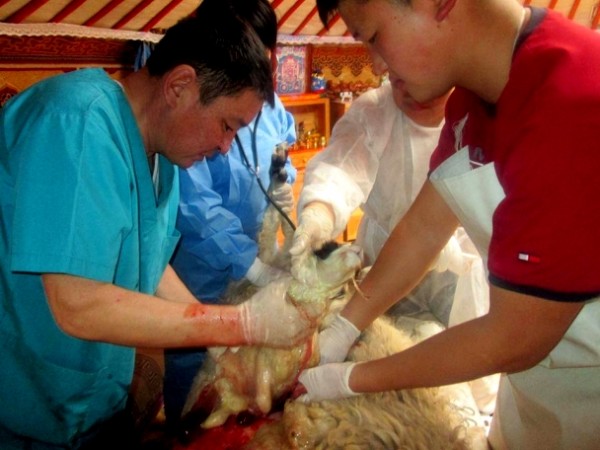 145810544156e8ec6151a2c