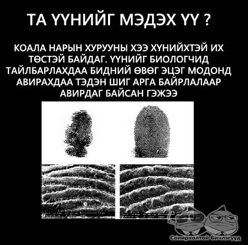 167446_313196282097274_403287026_n