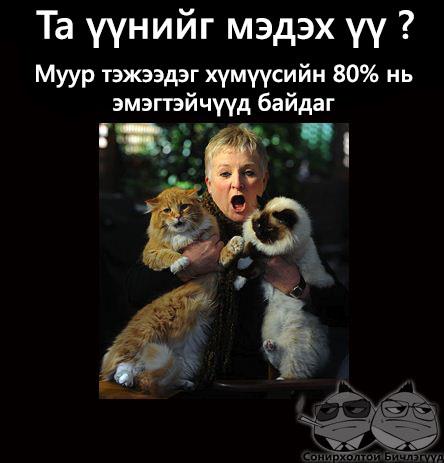 189497_347309525352616_1078399285_n